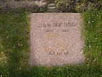 Alice Stiil Holst.JPG